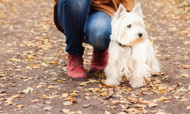 PRENOTA: Doggy Tour a Crespi d'Adda, sabato 9 marzo h15:30