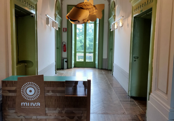 Novità: scopri il MUVA!
